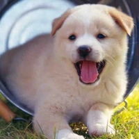 Happy
