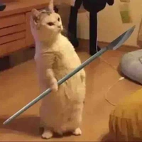 Cả lớp