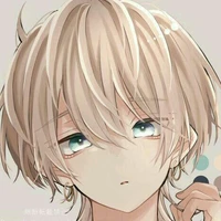 L/N Y/N (nam)