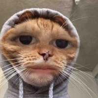Tác giả kiêm luôn bác tài xế