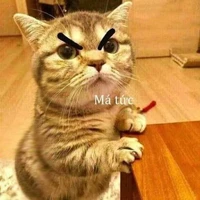 Đọc thì phải tim nhe trưaa