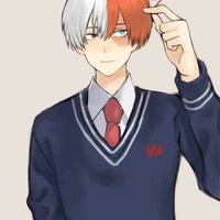 Todoroki Shoto