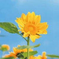 Hệ thống