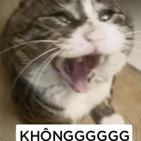 người dẫn truyện