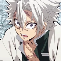 Shinazugawa Sanemi