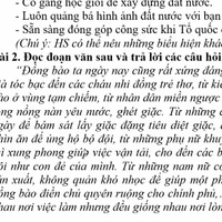 Thầy/cô giáo