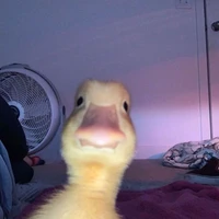 all