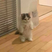 Nhỏ tác giả thỉu lăng=))