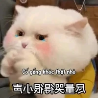 All phụ