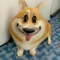 Nguyệt