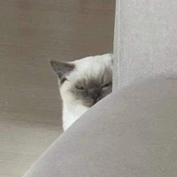 Tg