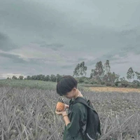 Đức Anh