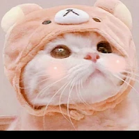 ime