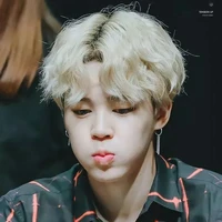 Phác Trí Mẫn