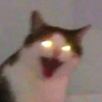 Miru-chan👁️👄👁️💅
