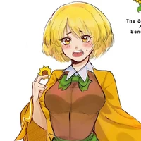 Seno