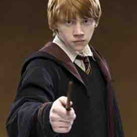 Ron Weasley🍁