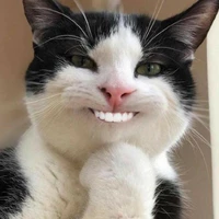 đứa làm truyện ^^