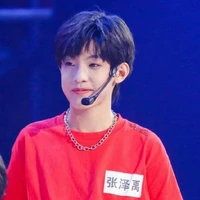 trương Trạch Vũ