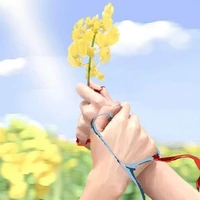 Ngọc cherry (tác giả)