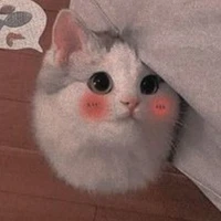 tác giả cute