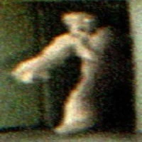 Entity 10 : Skin Stealers