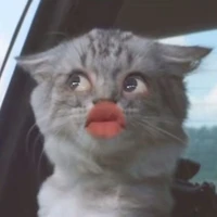 [T/G]Sữa 0 đường😺