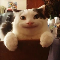 Ly