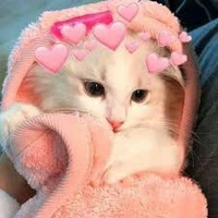 Cả lớp ;-; -trừ ng cần trừ-