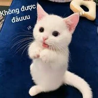 HS nam :> -ng cần trừ-