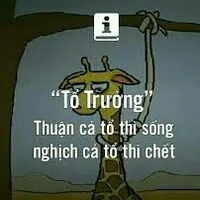 Tổ trưởng 1