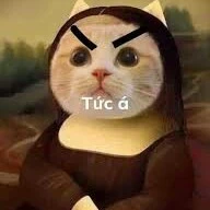 Tồng phụ trát ;+;
