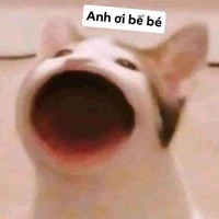 Tác Giả Siu Lười😿