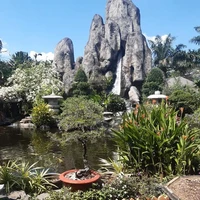 các cậu
