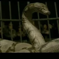 nagini
