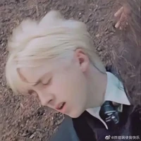 draco Malfoy