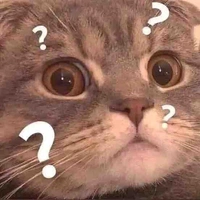 T/g đi dubai chs rầu 😞