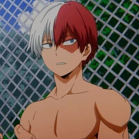 Todoroki Shoto