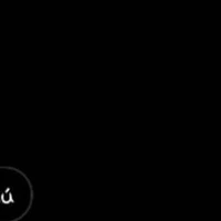 y/n