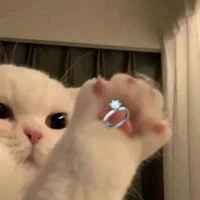 Tác giả nè