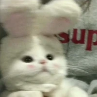 toi