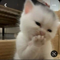 Hệ Thống 999_Bạch Bạch
