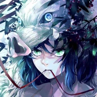Hashibira inosuke