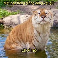 Tác giả