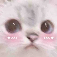 Au mèo méo meo~~