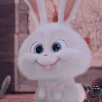 Tác giả đại nhân🐰✨
