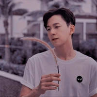 Kiến Huy