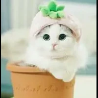 con tg hủ