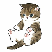 Mèo của Andy - Ann