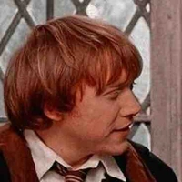 Ray Potter🐍